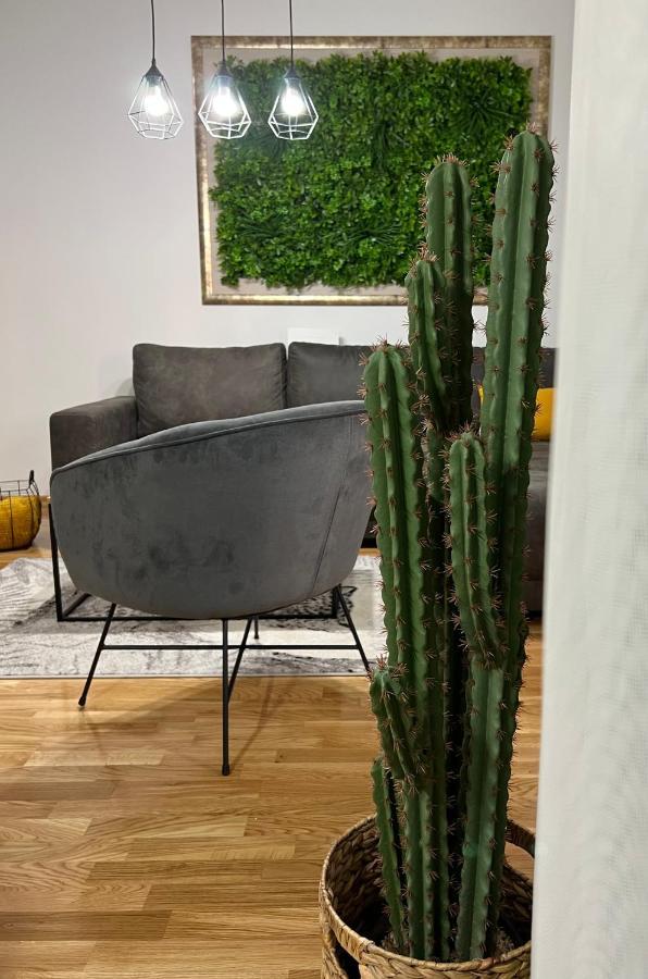 Jungle Lux Apartment Τσάτσακ Εξωτερικό φωτογραφία
